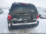 Ford Escape Xlt 1FMCU0D7XCKC72391 fotografie