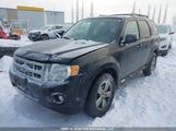 Ford Escape Xlt 1FMCU0D7XCKC72391 снимка