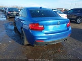 BMW 228I xDrive WBA1G9C53GV598641 снимка
