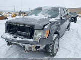 Ford F-150 Xlt 1FTFW1EF3EKG26519 снимка