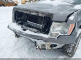Ford F-150 Xlt 1FTFW1EF3EKG26519 снимка