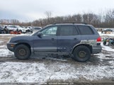 Hyundai Santa Fe Gls/Limited KM8SB13D86U040637 photo