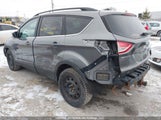 Ford Escape 1FMCU0G92EUA09252 снимка
