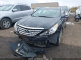 Hyundai Sonata 5NPEC4AB2DH528460 fotografie