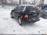 Mercedes-Benz Ml 500 4JGAB75E13A435356 снимка