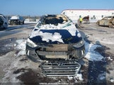 Hyundai Elantra Se/Value/Limited KMHD84LF4HU401469 снимка