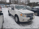 Ford Escape Xlt Automatic/Xlt Manual 1FMCU03749KD02656 снимка