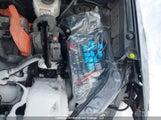 Toyota Rav4 Le 2T3BWRFV0RW188381 photo