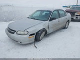 Chevrolet Malibu 1G1ND52JX16190524 снимка