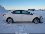 Toyota Corolla L/Le/Xle/Se/Xse 2T1BURHE1KC243925 снимка