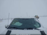 Ford F150 Supercrew 1FTEW1E85PFA77009 снимка