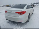 Hyundai Sonata Sport/Limited 5NPE34AF3FH118451 photo