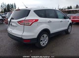 Miniaturka zdjęcia 5