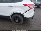 Miniaturka zdjęcia 7
