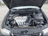 Acura Tsx JH4CL96875C801728 fotografie