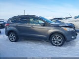 Ford Escape Sel 1FMCU9H93DUA96306 fotografie