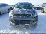 Ford Escape Sel 1FMCU9H93DUA96306 fotografie