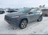Jeep Cherokee Trailhawk 1C4PJMBS1GW178539 снимка