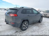 Jeep Cherokee Trailhawk 1C4PJMBS1GW178539 снимка