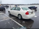 Chevrolet Malibu Lt 1G1ZT51856F237548 fotografie