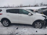 Kia Sportage KNDPMCAC8J7388231 снимка