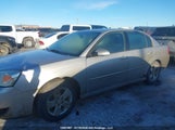 Chevrolet Malibu Lt 1G1ZT51896F216959 fotografie