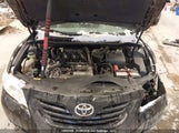 Toyota Camry Le V6/Se V6/Xle V6 4T1BK46K47U500938 fotografie