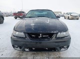 Ford Mustang Svt Cobra 1FAFP46V21F213312 снимка