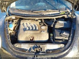 Volkswagen New Beetle Gls 3VWCA21C2YM495452 снимка
