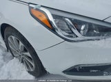 Hyundai Sonata Sport Tech 5NPE34AF5HH504758 снимка