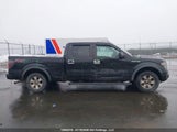 Ford F-150 Fx4 1FTFW1EFXDFD71505 fotografie