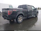 Ford F-150 Fx4 1FTFW1EFXDFD71505 снимка
