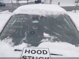 Hyundai Elantra Sel/Value/Limited KMHD84LF3KU806004 снимка
