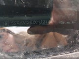Buick Enclave 5GAKVCKDXHJ274194 fotografie
