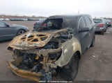 Chevrolet Equinox 2GNFLEEK8H6181173 photo