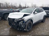 Hyundai Tucson Sel Convenience KM8JCDD11SU372167 photo