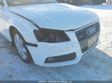 Audi A4 2.0T 30 Years Of Quattro Edition/2.0T Premium WAUFFCFL3BN006258 fotografie