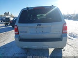 Ford Escape Xlt 1FMCU93G39KC44513 снимка