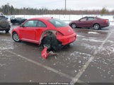 Volkswagen The Beetle 2.5L Comfortline/2.5L Highline 3VWJX7AT7EM619018 photo