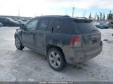 Jeep Compass Limited 1C4NJDCBXED551110 снимка