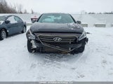 Hyundai Sonata 5NPE24AF6FH034028 снимка