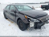 Hyundai Sonata 5NPE24AF6FH034028 снимка