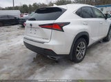 Lexus Nx 300 Base/300 Luxury/300 F Sport JTJGARDZXM5031786 fotografie
