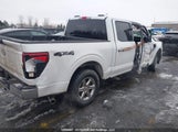 Ford F150 Xlt 1FTFW3L88SKE49624 fotografie