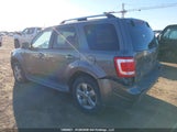 Ford Escape Limited 1FMCU9EG8AKD08577 снимка