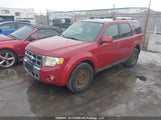 Ford Escape Limited 1FMCU9EG8BKB87373 снимка