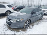 Nissan Maxima 1N4AA6AP0GC446180 снимка
