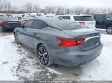 Nissan Maxima 1N4AA6AP0GC446180 fotografie