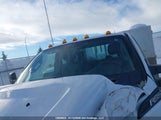 Ford F450 Super Duty 1FD0X4HY3DEA45077 снимка