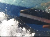 Nissan Versa S/Sl 3N1BC13E59L452008 снимка